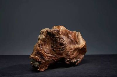 佳品欣賞 天然極品榴花崖柏的魅力