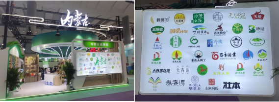 呼和浩特林草產(chǎn)品亮相世界舞臺，技術交流引領綠色發(fā)展新風尚